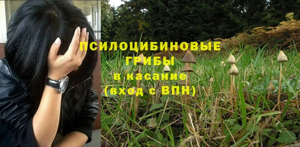 2c-b Баксан