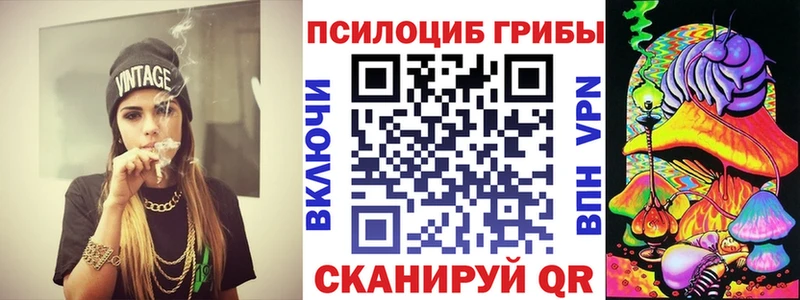 где продают наркотики  Заречный  Псилоцибиновые грибы Psilocybe 